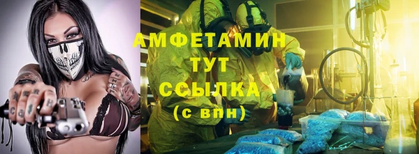 крисы Аркадак