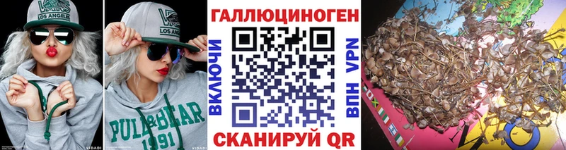закладки  Зеленодольск  Галлюциногенные грибы GOLDEN TEACHER 